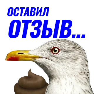 💩