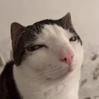 🫤