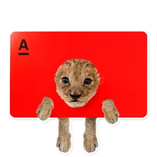 🐯