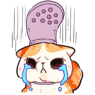 😭