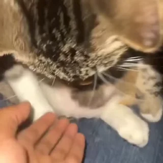 🧶