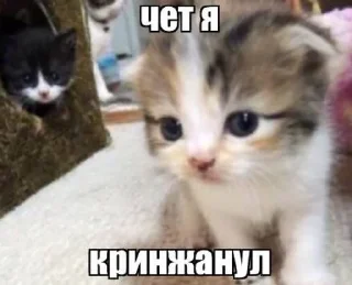 😑