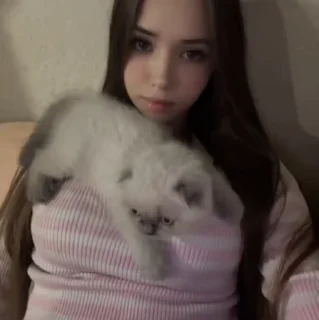 🐱