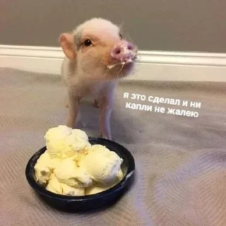 😉