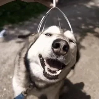 😏