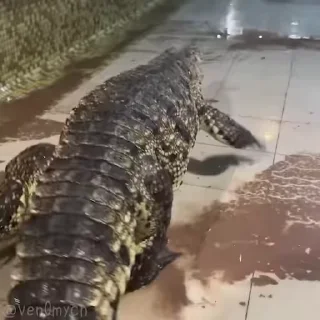 😏
