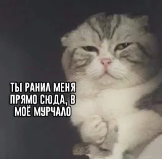 😊