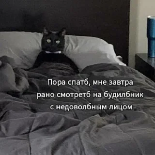 💤