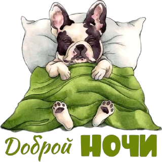 💤