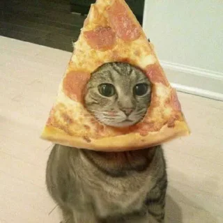 🍕