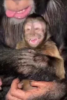 😛