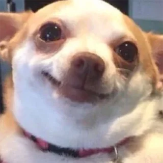 🙂
