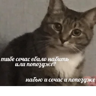 👊