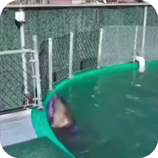 😡
