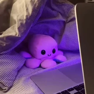 🐙