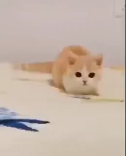 😜