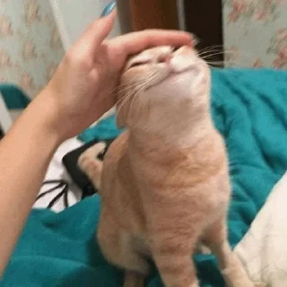 😍