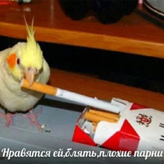 😎
