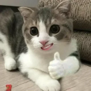 👍