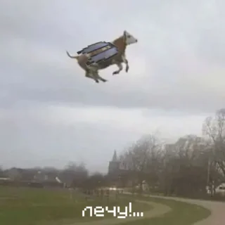 ✈️