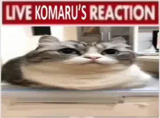 😮‍💨