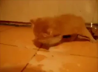 😧