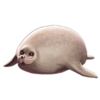 🦭