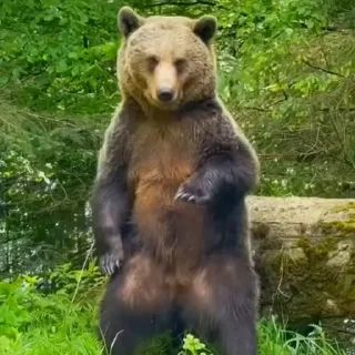 🤩