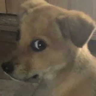 😦