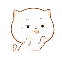 🐱