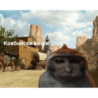 🐵