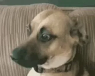 🙄