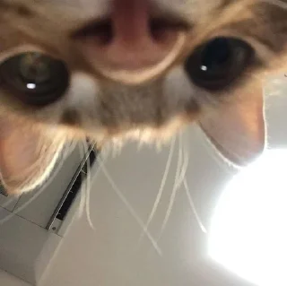 👀