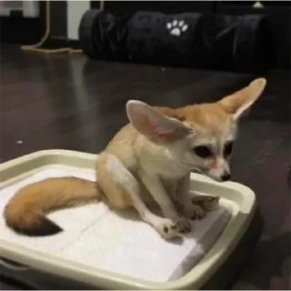 😕