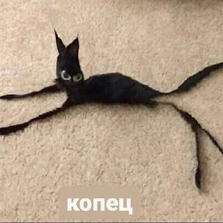 🤨