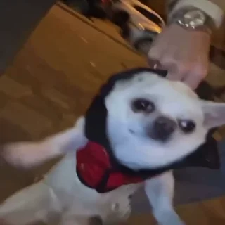 🤤