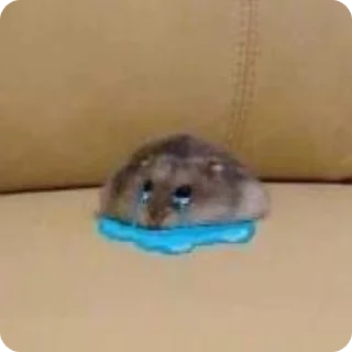 😭