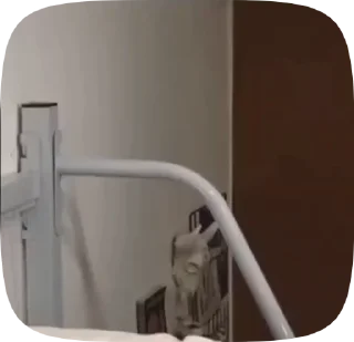 👋