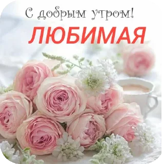 🌸