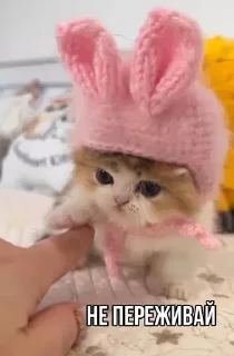 😌