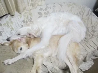 🤗