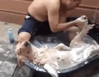 🛁