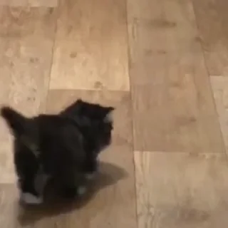 🤪
