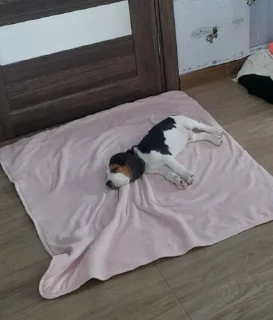 😴