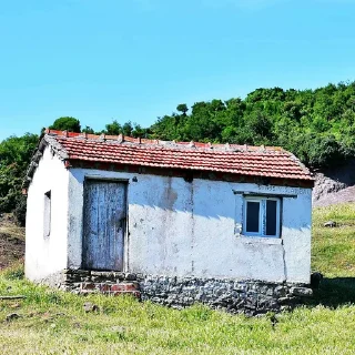 🏚️