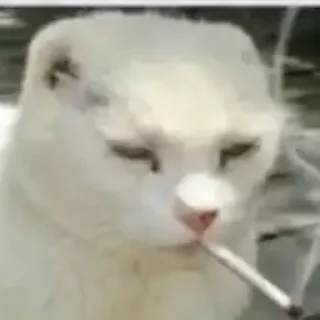 😕