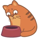🙀Cartoons Cats @stickersb2b