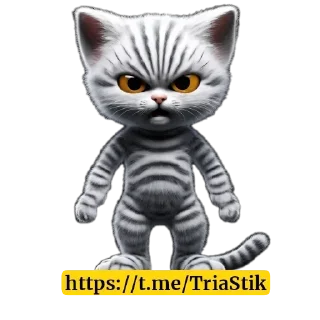 🐱