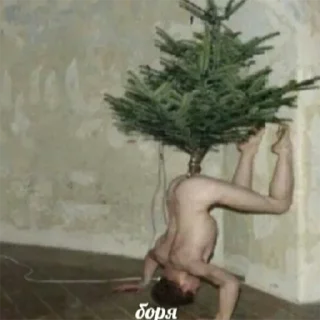 🎄