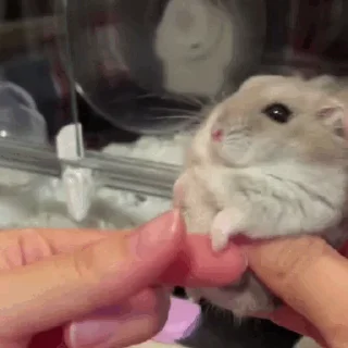 🤝
